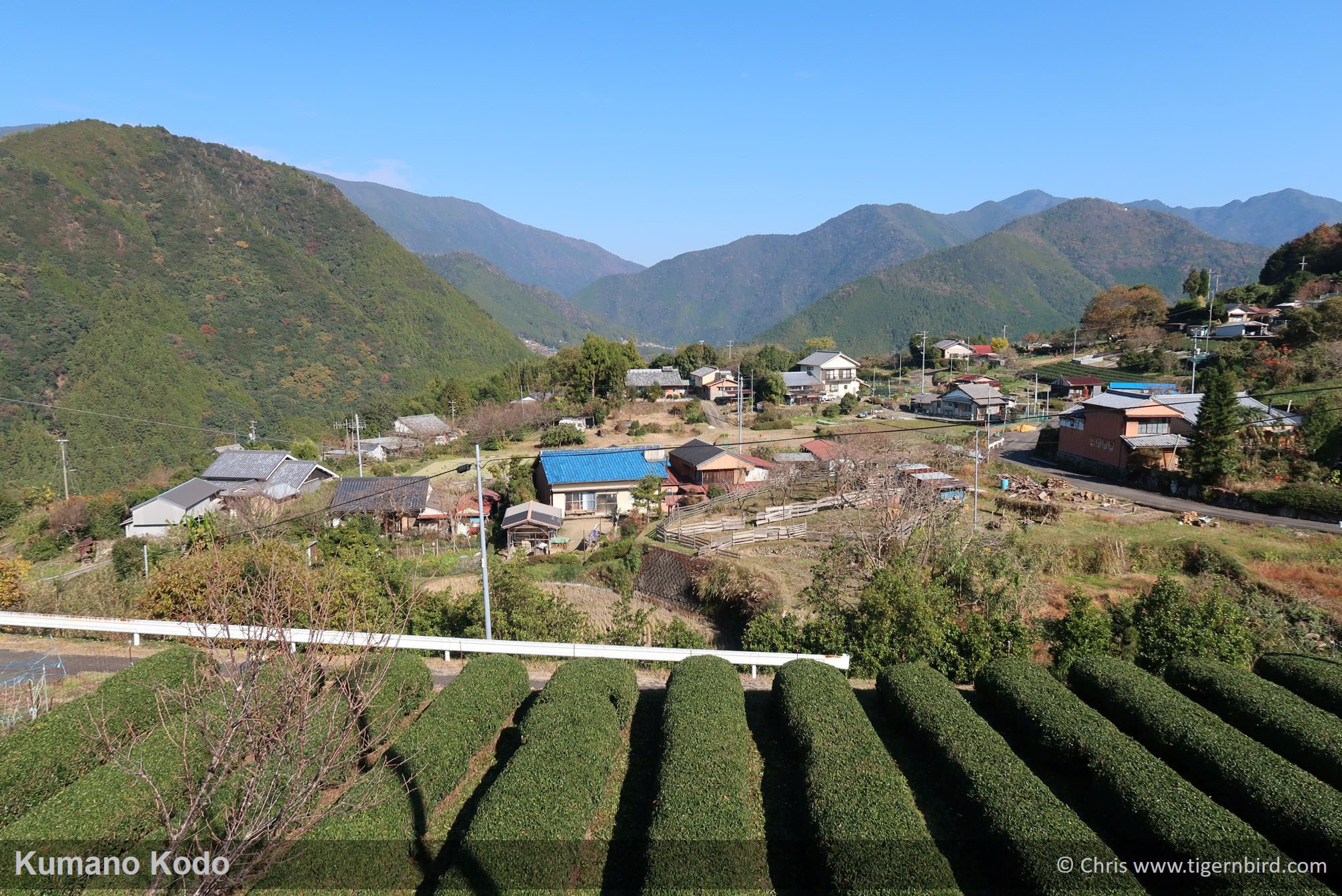 Verdant shrubs in front of small town in Kumano mountains in Japan