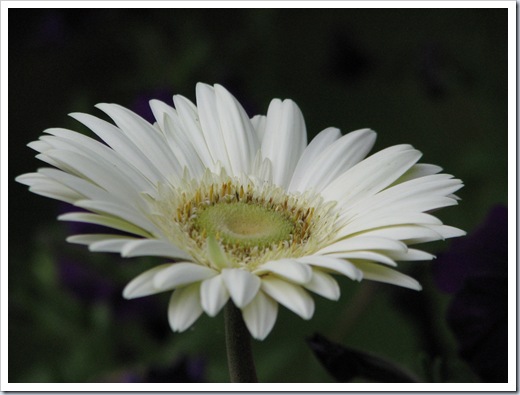 June 2010 389
