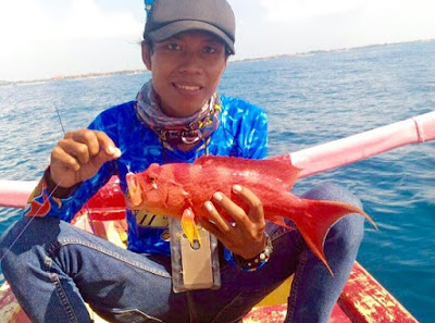 Jenis Umpan dan Cara Mancing Ikan Kerapu Jenis Umpan dan Cara Mancing Ikan Kerapu