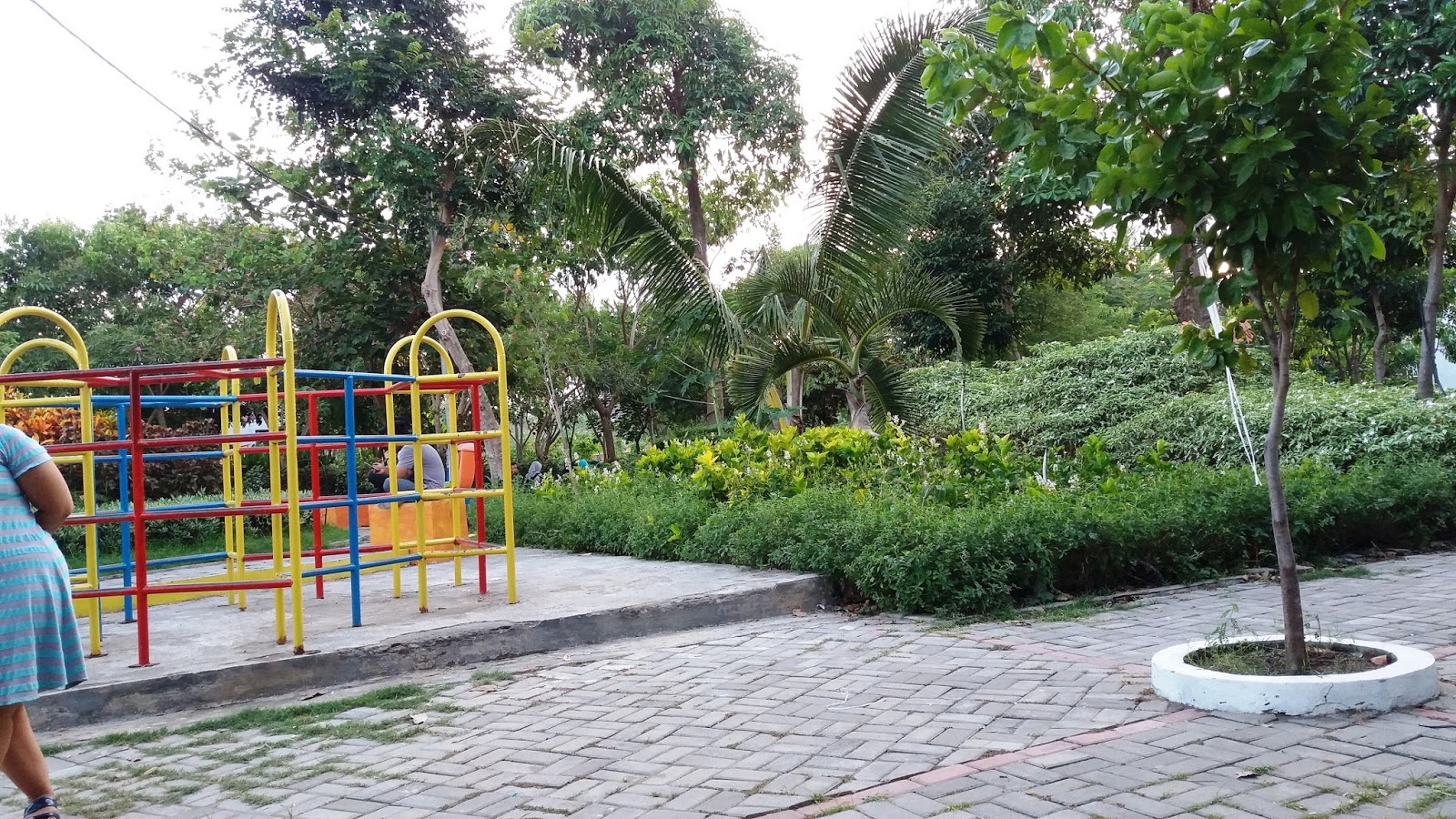  Wisata  di Surabaya  Taman Bunga  Sakura  Keputih Haya zone
