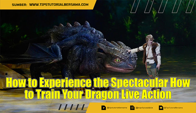 How to Experience the Spectacular How to Train Your Dragon Live Action