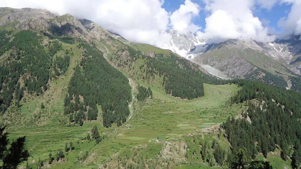 Darchan village khaltaro valley Haramosh valley. pine forest Khaltaro valley. peaks in khaltaro valley. pine forest in Gilgit baltistan