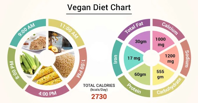 Vegetarianism 101: Understanding Different Types of Plant-Based Diets