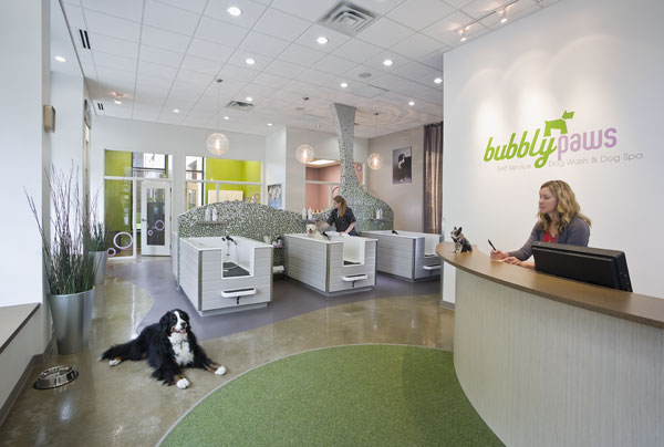 Imagine These: Retail Store Interior Design | Dog Spa ...