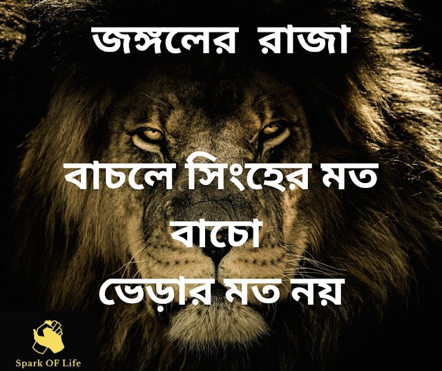 বাচঁলে সিংহের মত বাচোঁ,  ভেড়ার মত নয়