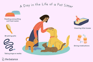 How to become a professional pet sitter