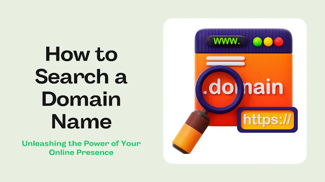 How to Search a Domain Name