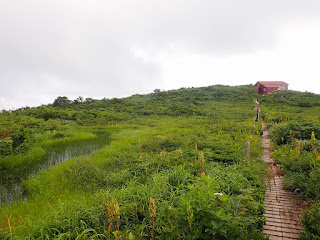 赤兎山・大長山登山　赤兎山湿原