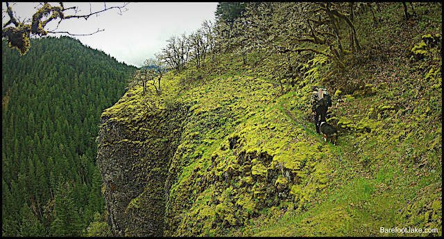 section hiking
