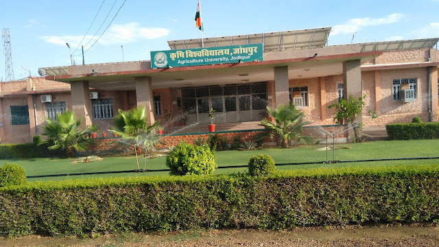 Agriculture University Jodhopur (AU )