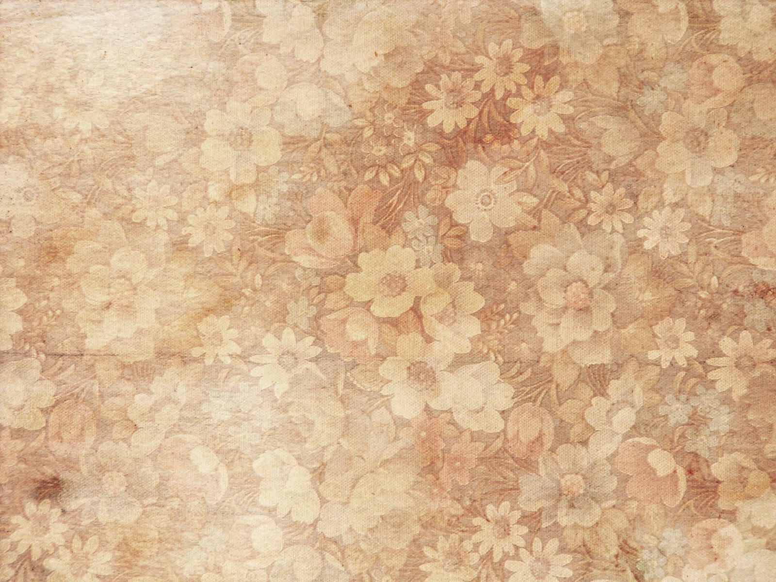 floral backgrounds wallpaper - Pink Floral Backgrounds - Ecro!