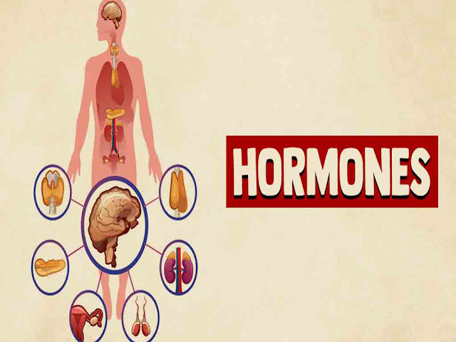 Hormones GK in Hindi