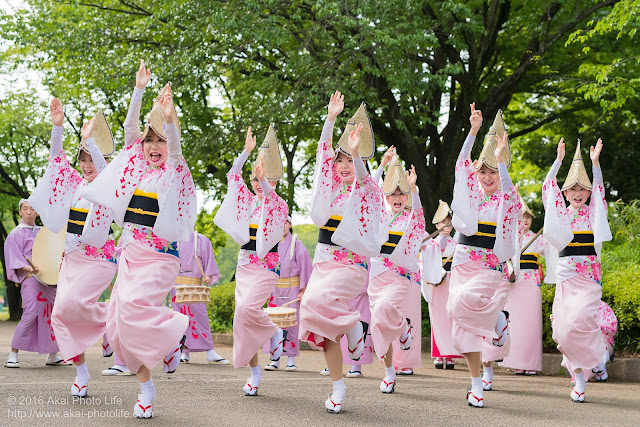 紅連の阿波踊りの舞台構成、女踊りをいこいの広場付近で撮影した写真