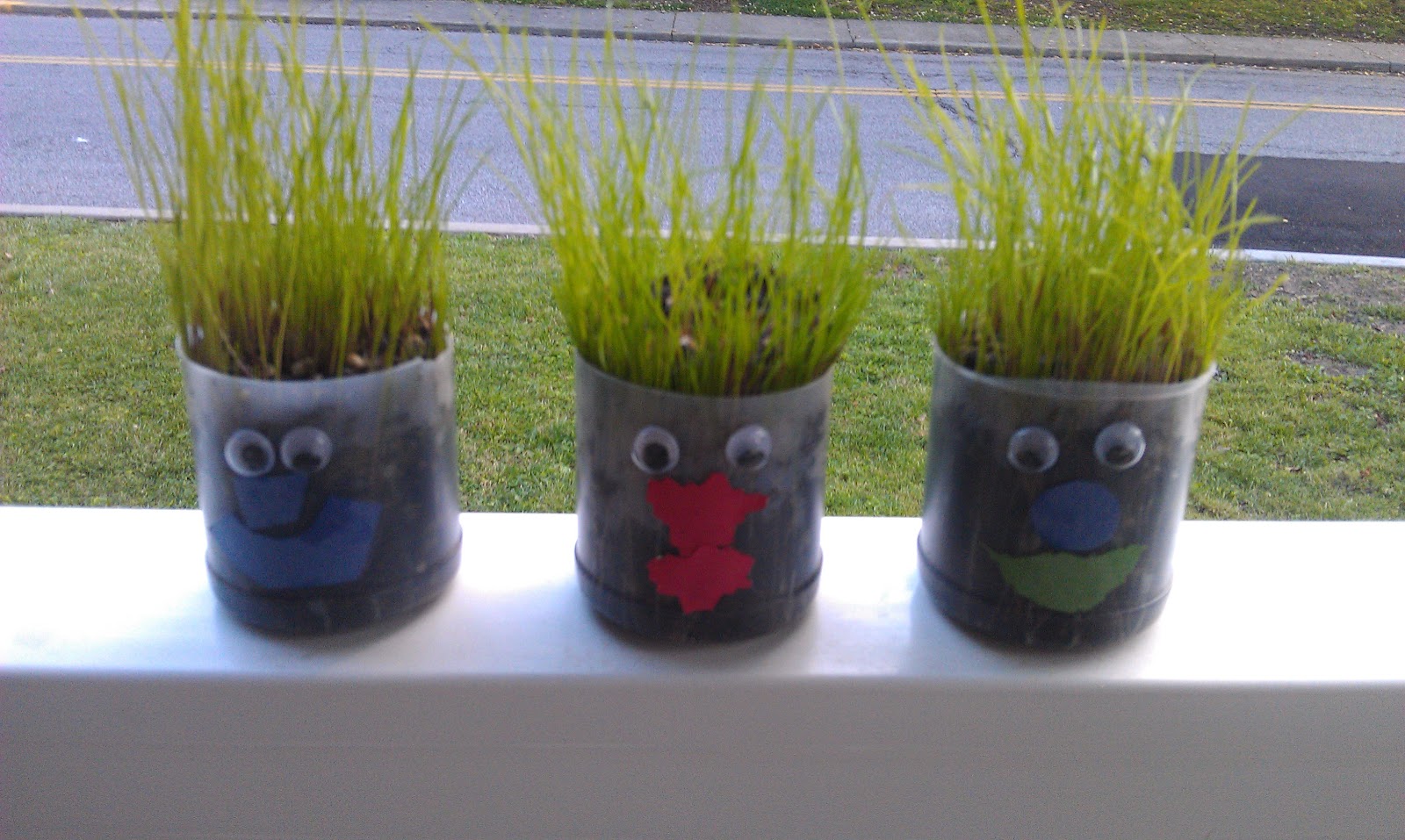 Grass Seed Cup Craft