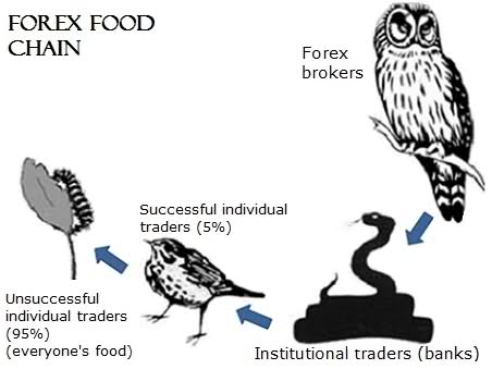 forex-food-chain