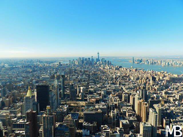 vista di New York dall'Empire State Building