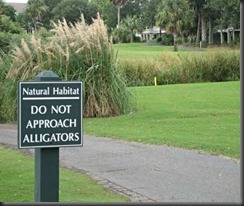 201010-w-funnysigns-gator_thumb