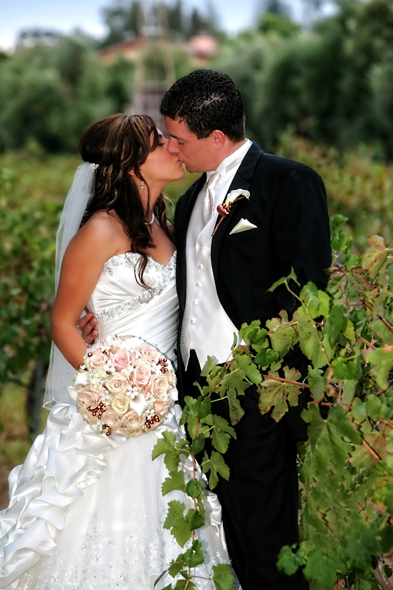 a wine country wedding in