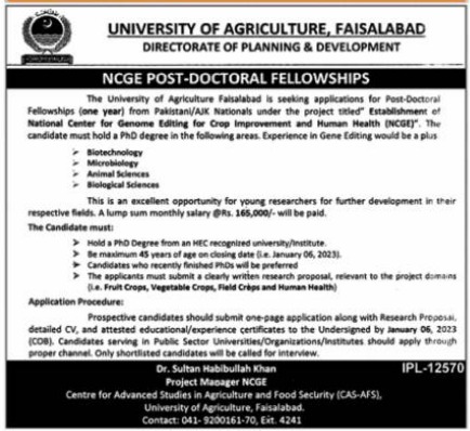 Latest University of Agriculture UAF Management Posts Faisalabad 2022