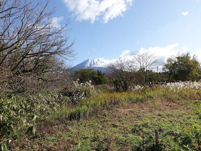 鳥取県道52号岸本江府線のポテト通りからの眺望