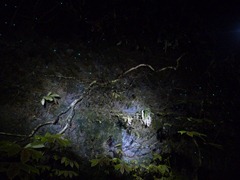 P1030106