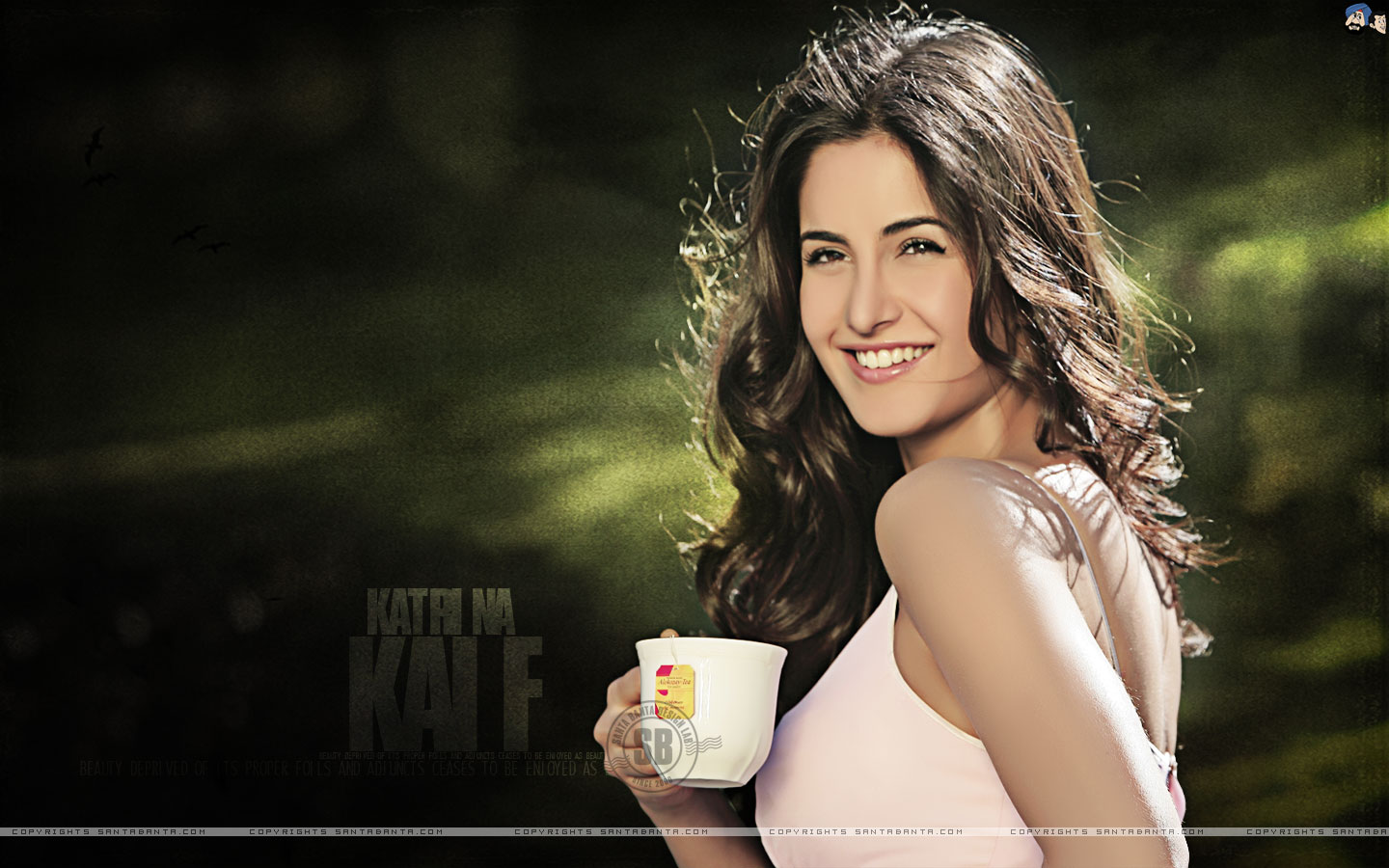 Hot On World: Katrina Kaif Filmfare May 2010 Wallpapers | Gadget ...