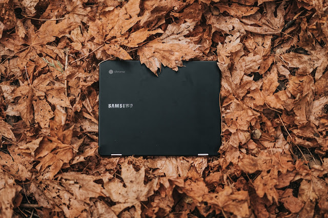 chromebook in the leaves