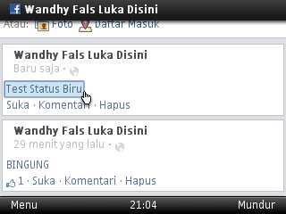 status biru facebook