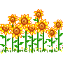 Gif de flor