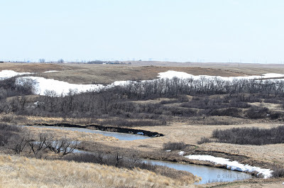 Prairie Valley. Photograph © Shelley Banks, all rights reserved.