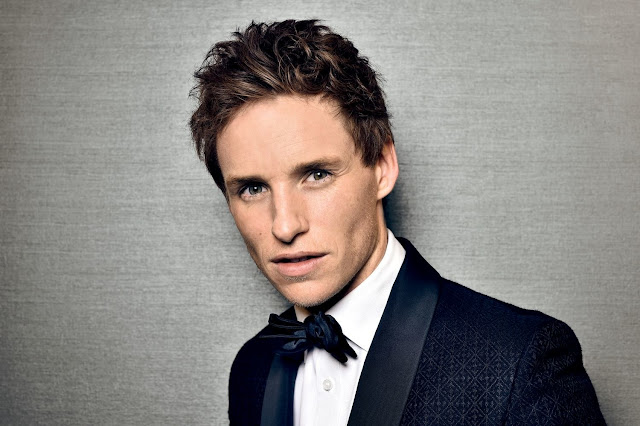 Eddie Redmayne descreve Alvo Dumbledore de Jude Law como 'divertido' | Ordem da Fênix Brasileira