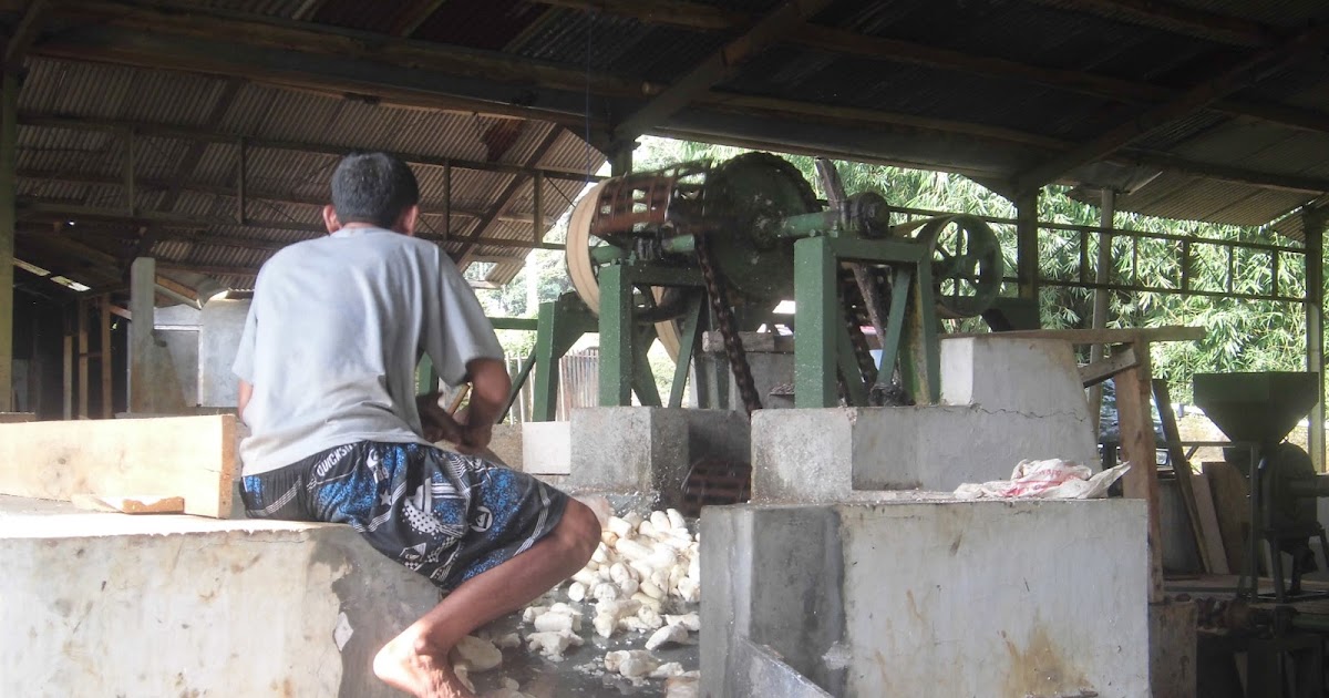 Industri Tepung Mocaf Di Indonesia Merangkak Naik Siap ...