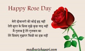 Happy Rose Day Image