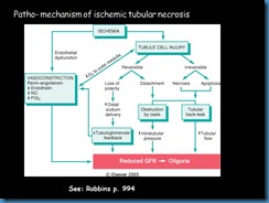Slide46