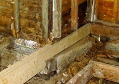 1405068 May 06 Rotten Wood Removed From Foundation