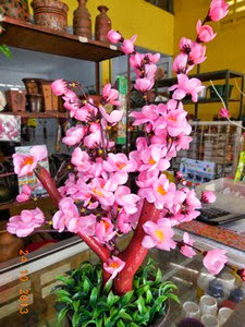 TOKO KEBON BOJONG MEMBUAT POHON SAKURA  MINI