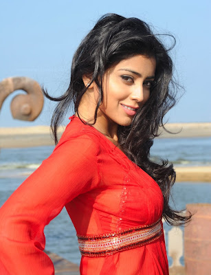 Shreya Saran in hot Sexy Red Dress photo gallery