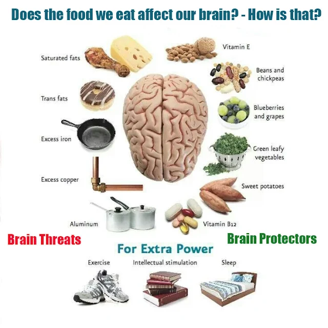 Does the food we eat affect our brain? - How is that?