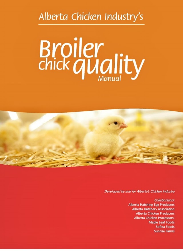 Free Download Broiler Chick Quality Manual Full Pdf