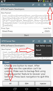 Open the KPNTunnel Rev app, and reset its settings.