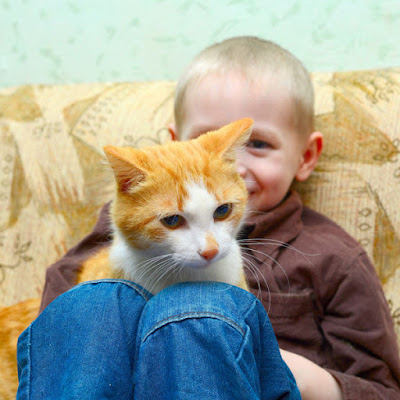 A happy boy with a ginger-and-white cat on his lap