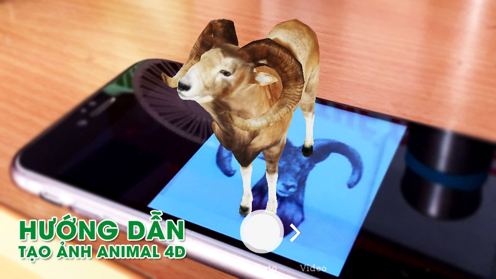 Hướng dẫn tạo ảnh Animal 4D - hiển thị các loại động vật trong không gian 3 chiều