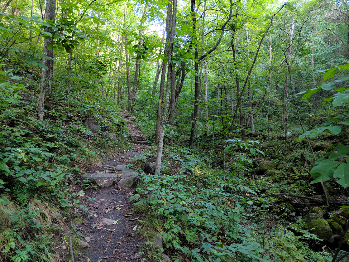 Roznos Meadow Trail at Devil's Lake State Park