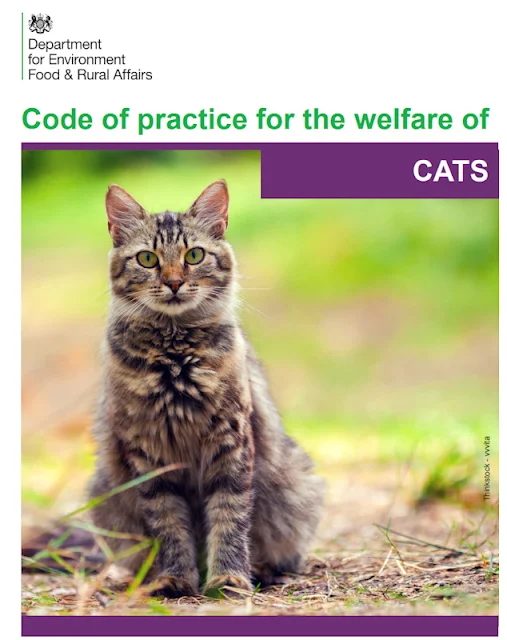 How to provide a suitable environment for your cat to live in (9 pointers) as per DEFRA