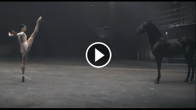 A Ballerina Approaches This Horse – His Response Has Everyone In Laughter