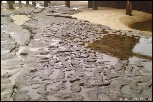 One million year old footprints in the sand, Norfolk