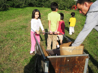 Apples picking