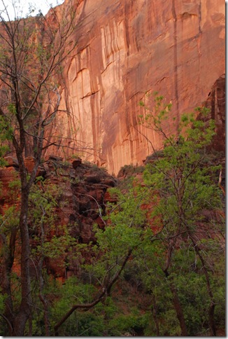 05-03-13 C Sunset Shuttle Ride Zion 021