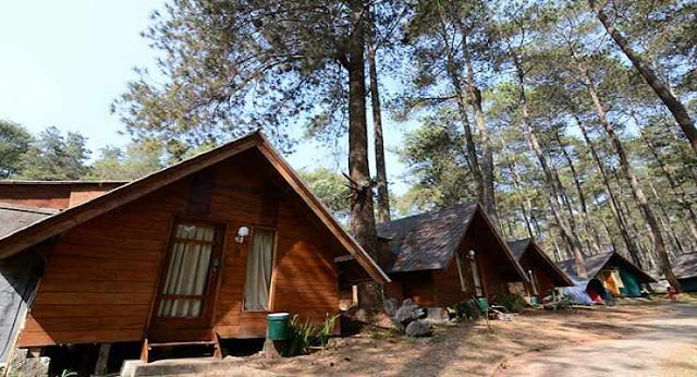 Bungalow_Damar_lembang_jungle_discovery_bandung