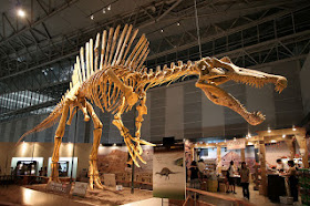 Esqueleto de Spinosaurus